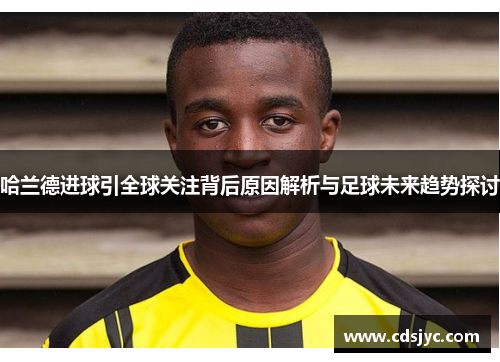 哈兰德进球引全球关注背后原因解析与足球未来趋势探讨
