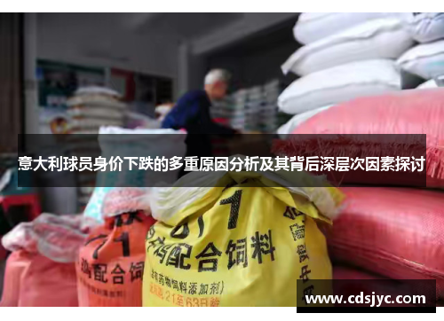 意大利球员身价下跌的多重原因分析及其背后深层次因素探讨