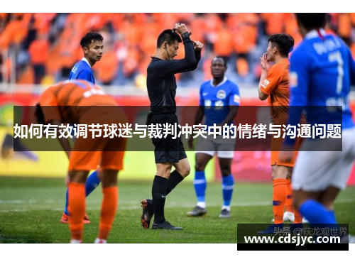 如何有效调节球迷与裁判冲突中的情绪与沟通问题