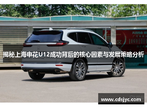 揭秘上海申花U12成功背后的核心因素与发展策略分析