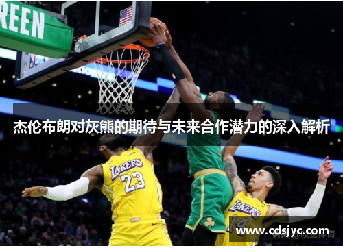 杰伦布朗对灰熊的期待与未来合作潜力的深入解析
