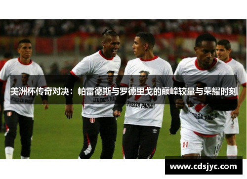 美洲杯传奇对决：帕雷德斯与罗德里戈的巅峰较量与荣耀时刻