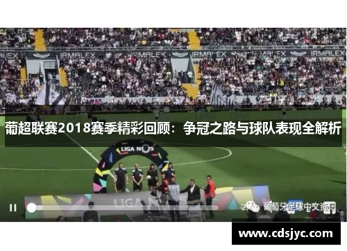 葡超联赛2018赛季精彩回顾：争冠之路与球队表现全解析