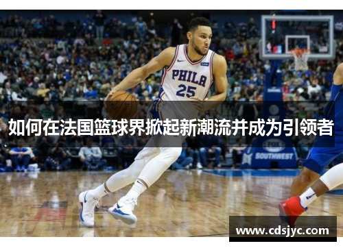 如何在法国篮球界掀起新潮流并成为引领者